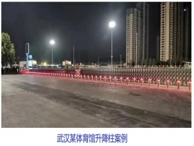 武漢某體育館升降柱現(xiàn)場案例